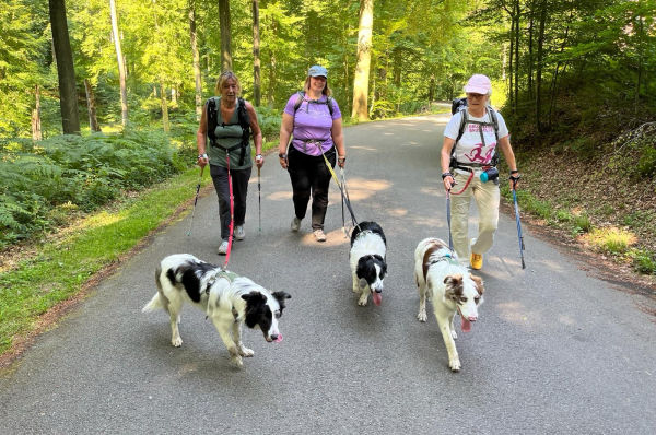 Cani-Nordic Walking