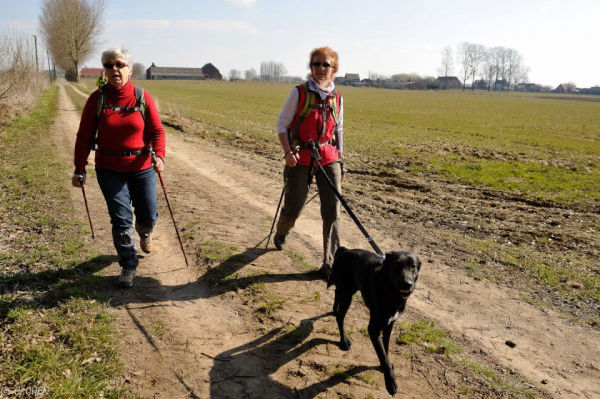 Cani-Nordic Walking